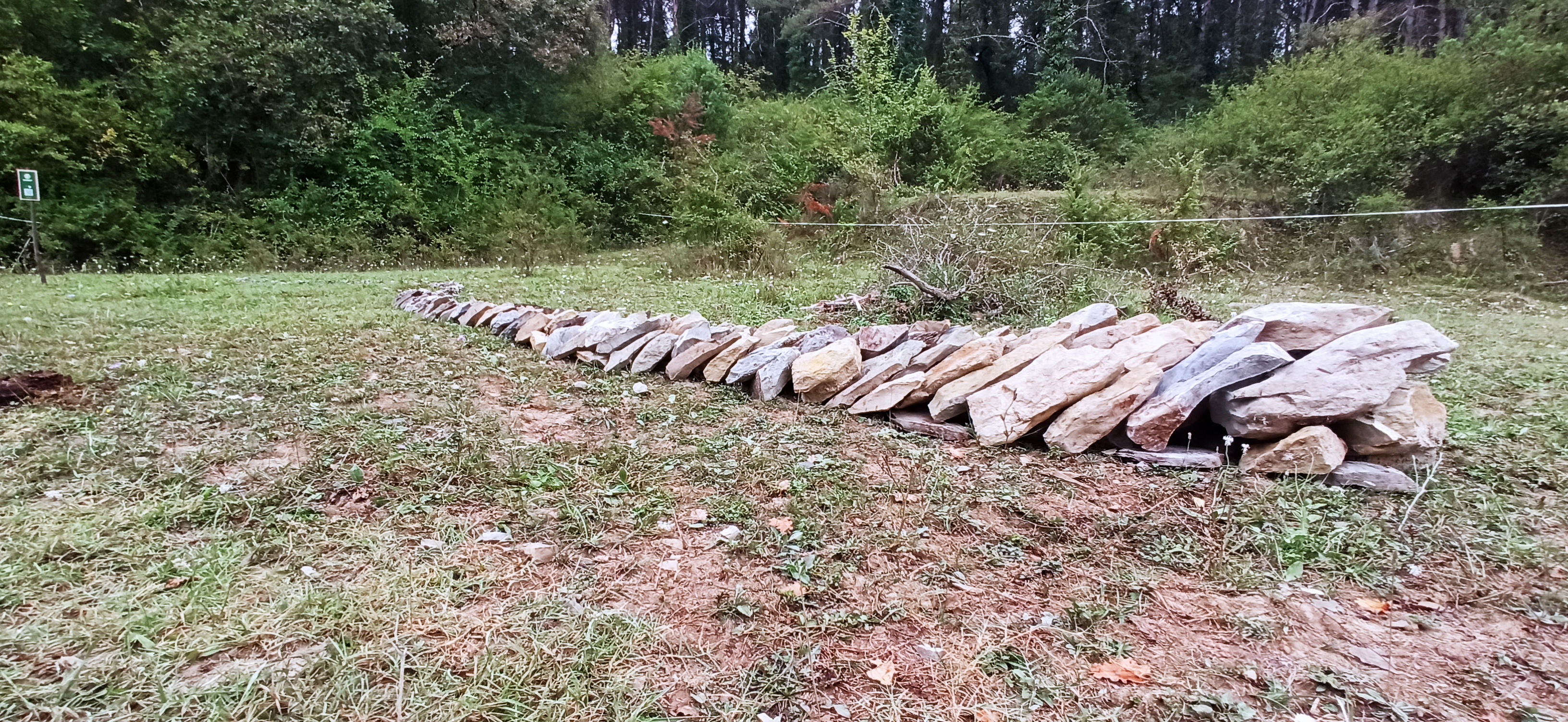 Instal·lació artística al bosc